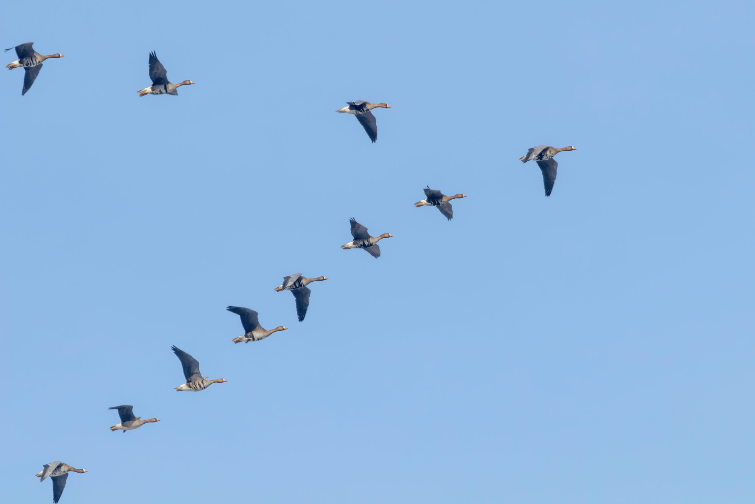 employee-benefits-planning-northampton-ewm-financial-planning